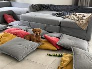 17f646969285d262b95f93f326689447_184x138_fill