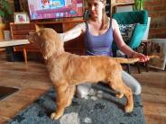 18de2aeb1afaeb77fe80a990aee854e7_184x138_fill