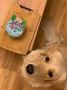 18df5d169dee21b0103d51dd8fb97274_138x184_fill