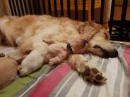 19014db5b6263834c911df084be24268_184x138_fill