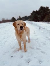 19049d39392521b9390d36e92eedf838_174x232_fill