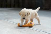 1910f9363372fbbf9d2a7b6d208ccc52_195x130_fill