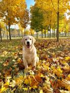 1954f7360b1fb9e45e76c9a4eec2d0a4_138x184_fill