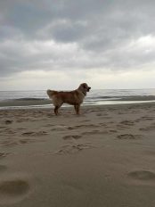 197fcb9eb9e8216cf07365c081d0a6fb_174x232_fill