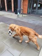 19dadf6a5fd0a5b5823b7497d2674474_138x184_fill