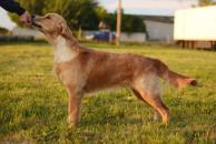 1a7b3e588e69158dfe5d1fe12d73162b_194