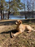 1b1cceb7ad73d8ddd8540cdc49898147_138x184_fill