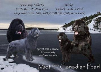 1b3d617192976dfa6de9a9c4f0e8cb58_356