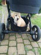 1b798642500e5d618dde8cb6f0f22399_138x184_fill