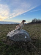 1b7cb6c02c27640f23c2ef6a71ceda6f_138x184_fill