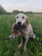 1b7d4622bd1d5d0ad630dca9f65993a4_138x184_fill