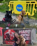 1bbe488a08eba1586b383566e24e8865_144x180