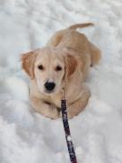 1bfb4b9d5ce4fbe4fe6fd2375d4727a5_138x184