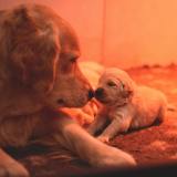 1c0c379f817349178273774d00b3359d_160x160_fill