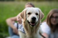 1c2edb7b0f8b429c0c2aa439a268de89_195