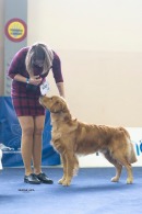 1c64124e71464e059848adc733165053_130x195