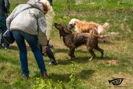 1c8fa72699cf76cc9c7e243b9236a897_194