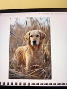 1c94914b7d3e82eb8e5998e8e573b792_138x184_fill