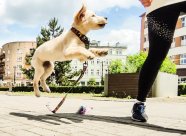 1cc88c01187c56f3b9a2db839279aa4b_186