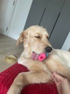 1cd6136ff7d055911926a1238b6aa733_138x184_fill