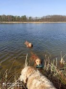 1d20b65b2ed17e3c96925f4c72837f27_138x184