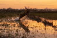 1d71088a672116d727475fca0bb0090a_195