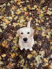 1db9bac5528606c05ab56b6bfb015d38_174x232_fill