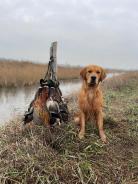 1e02fbb767c8da320db3560bb8975f56_138x184_fill