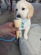 1e4ba2a9fa391a7aafe38c06377b853b_138x184