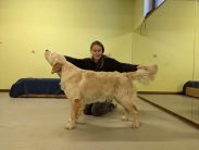 1f4c07d5c660506da819d2e085a7794d_183