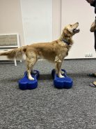 1fa70f7cbb134863d6b8cb0a5ae56cea_138x184_fill