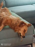 20220d2116697f07725dc6469e5ded20_138x184