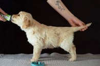 207265713897c7949a5f2dd5e961594d_195x130_fill