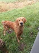 20a94f242f929fbf2040f4566a7f050b_138x184