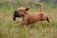 20bcaf52e0d749fb9edaf6d36c27112a_195x130_fill