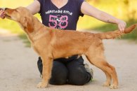 211c65250b31434eaaadc2f59a8e6b84_195