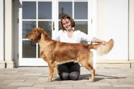 2130345052c9590e77e98f256c05d827_195