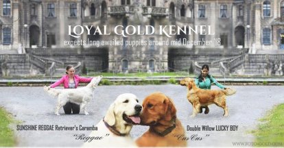 2137fac76b840dca8ef3e92723330d5c_414