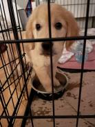 21d829ededc28d096f606b10231b2af5_138x184_fill