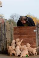 2244dffff1b478805348499cc2da6c2c_130x195