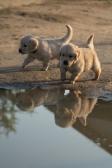 228e148005e0164494717366da57d2cf_164x246