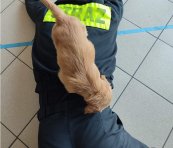 22eb56cf1df11fc9c15da2e452bbe3a7_173