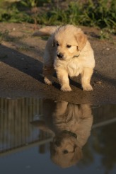 230763f4d7ae0b9d8020f8b57bd99bc6_164x246