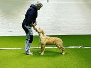 23188b203397c9efe8859a016c25e651_184