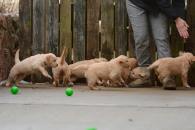 231c0fd5fb79b11223aa953a100c39c3_195