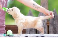 2320cb8131915c82b63d09ae172b22e6_195