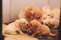 236079ca4e7d7aaaca1e4032f50c95b8_195x130_fill