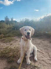 23fca82de672da8f3a497a417c4083f2_174x232_fill