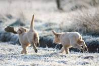 243fadf16d264fe6ff4de1c290d06595_195