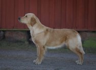 2495a2a9f0ebd444d4df7bdb477070b9_188